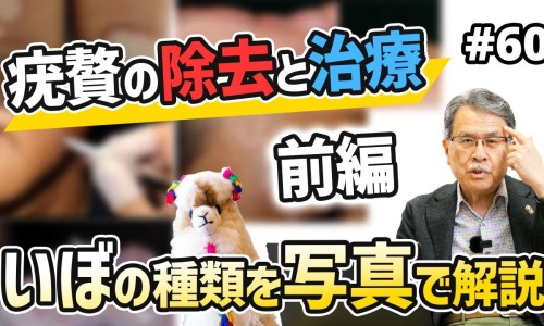 尚赫产品的功效与作用-尚赫美容效果图片、尚赫美容仪做胸的好处 -尚赫丰胸效果图片网
